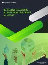 Quels sont les acteurs du secteur de l’électricité au Maroc ?